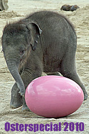 Ostern im Tierpark (Foto: Martin Schmitz)